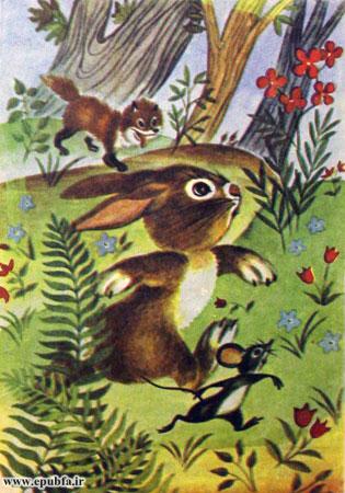 خرگوش کوچولو گفت من باید قبل از روباه خودم را به بالای تپه برسانم